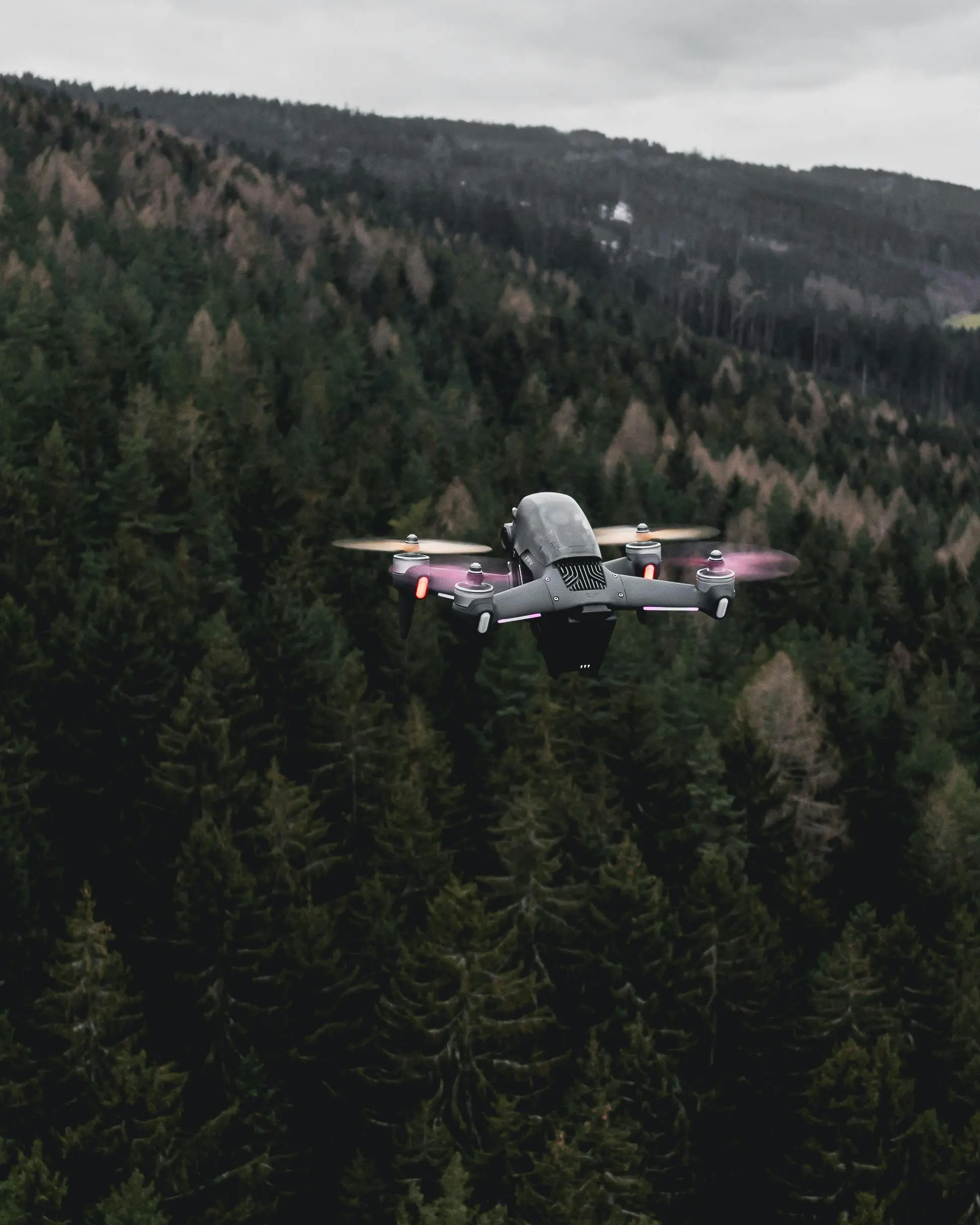 Drone flying over a forest