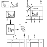 US06549295-20030415-D00003