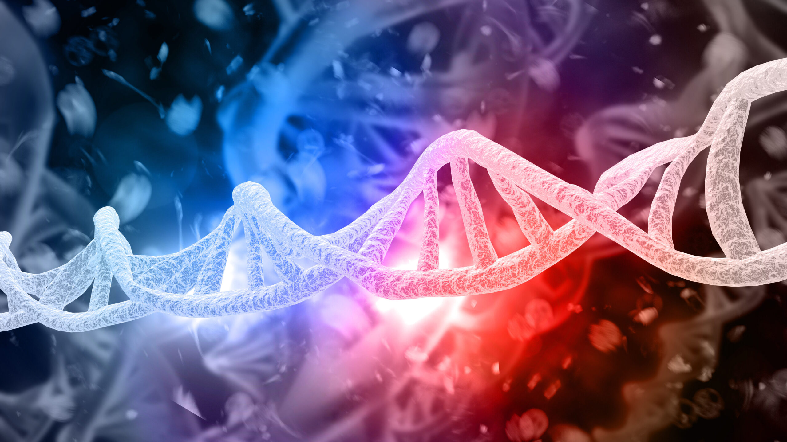 DNA Strands 3D Illustration